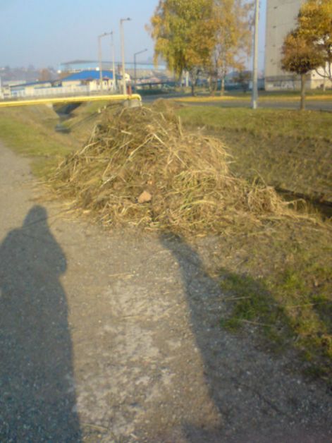 dsc00702.jpg